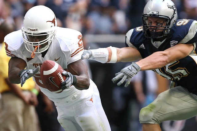 固性和进攻 固性和进攻