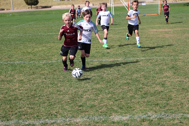 能力和进攻 能力和进攻