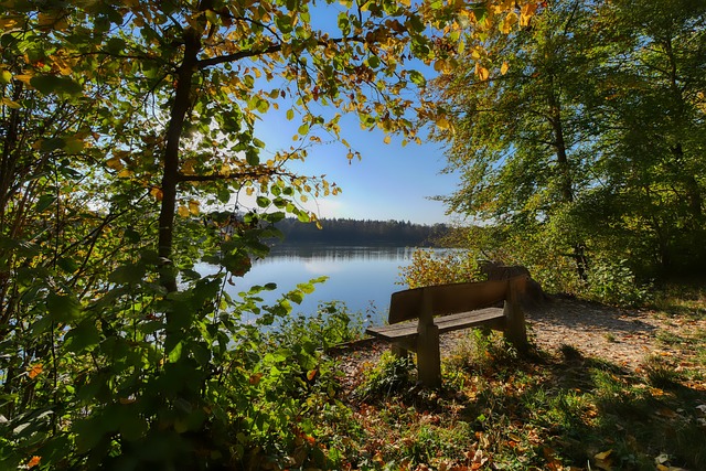 某足球俱乐 某足球俱乐