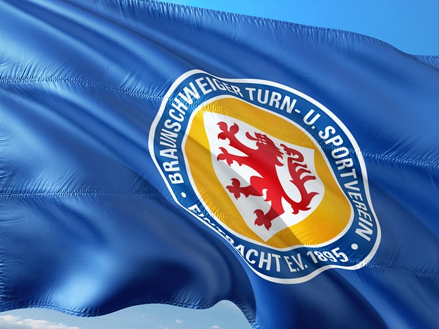 他们采取了 他们采取了