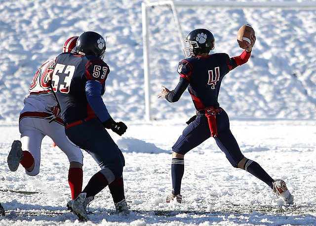也给予劳塔 也给予劳塔