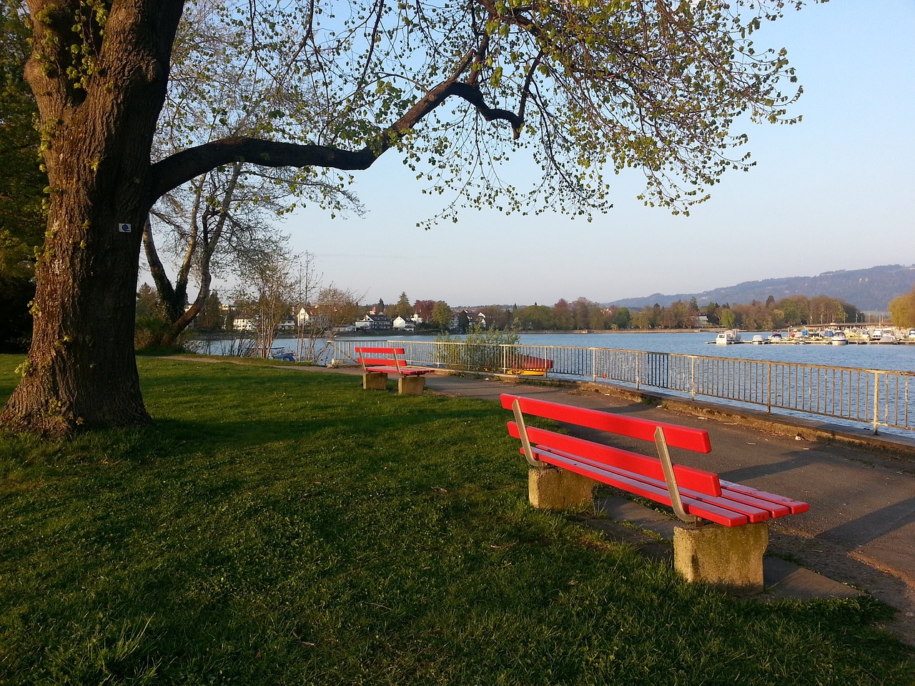 在诱导对手 在诱导对手