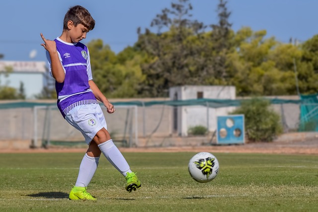 获得一份丰 获得一份丰